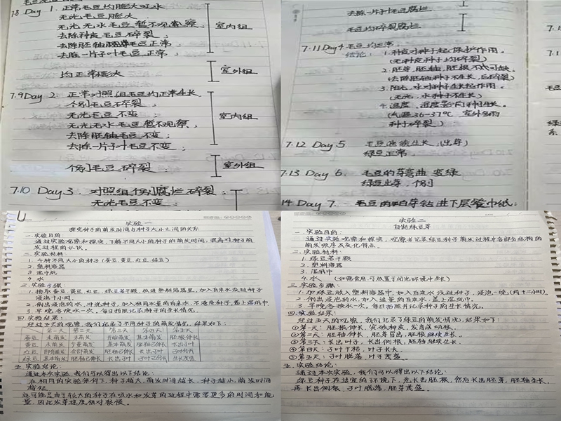 3cab64e0a2fb42f3a8293d00fe4d1a78.jpg