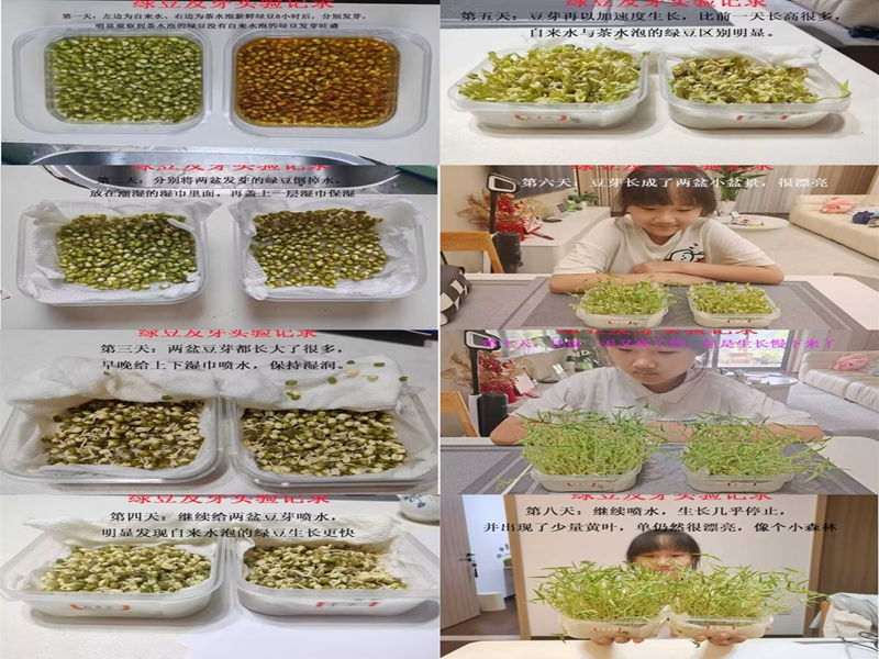 bdb9560ee3ae4021a4ec985b808685fc.jpg