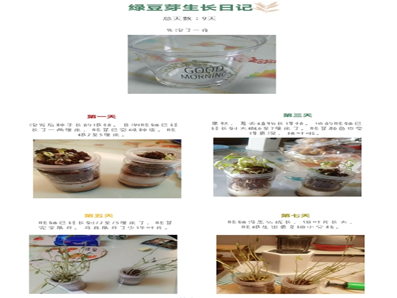 c13df8023d884c6f9147bc73dbc5f7ff.jpg