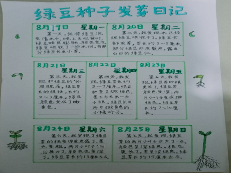 d555bf04cd65458dad7d52a149fe3709.jpg