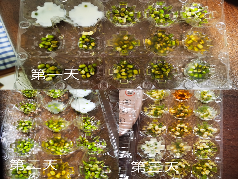 f1fb3e04a24446d6af5c0d084e2b9b98.jpg