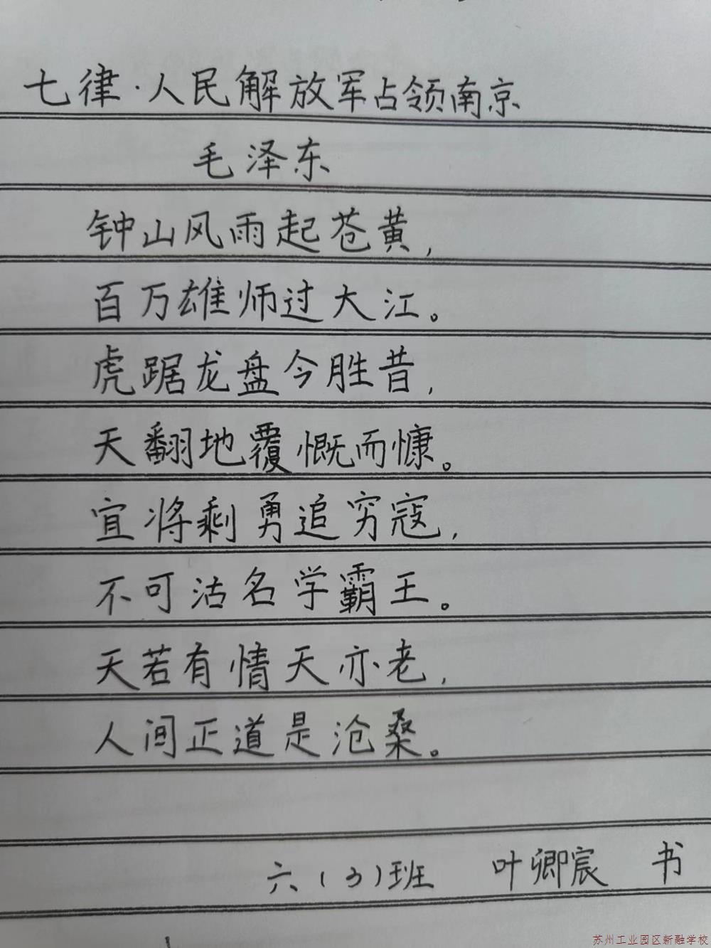 45a7e576bc94400aadfa3635090a62dd.jpeg